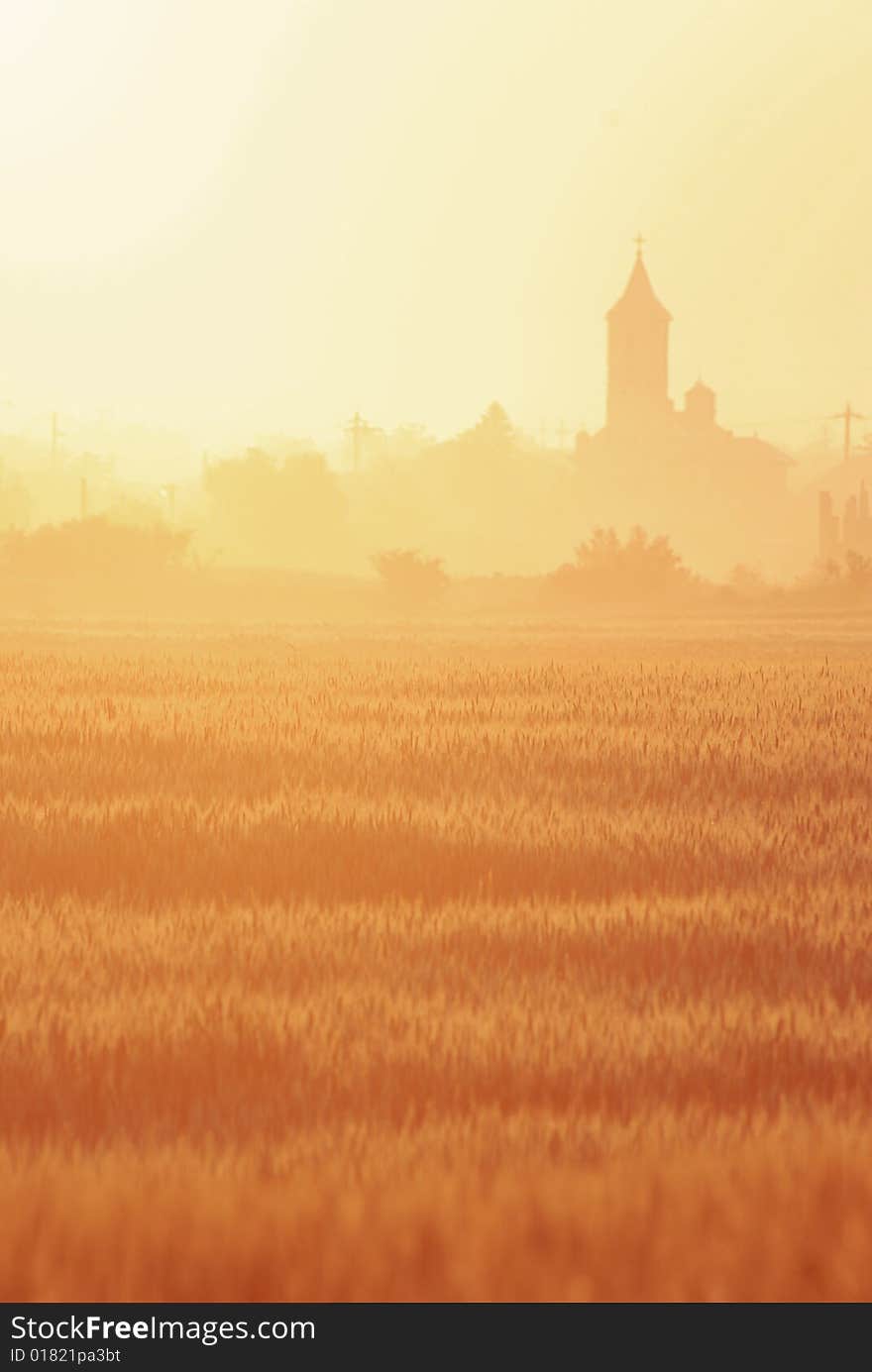 Field, flower, red, flowers, nature, landscape, fresh, morning, sun, lights, village, church. Field, flower, red, flowers, nature, landscape, fresh, morning, sun, lights, village, church