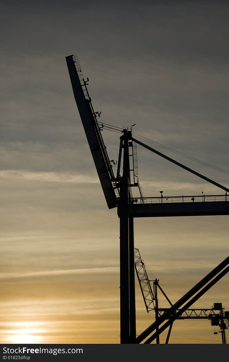 Cranes Against The Morning Sun