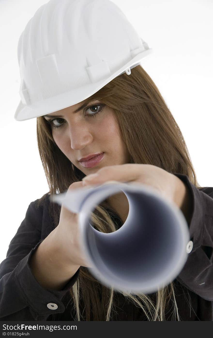 Female architect with chart with white background