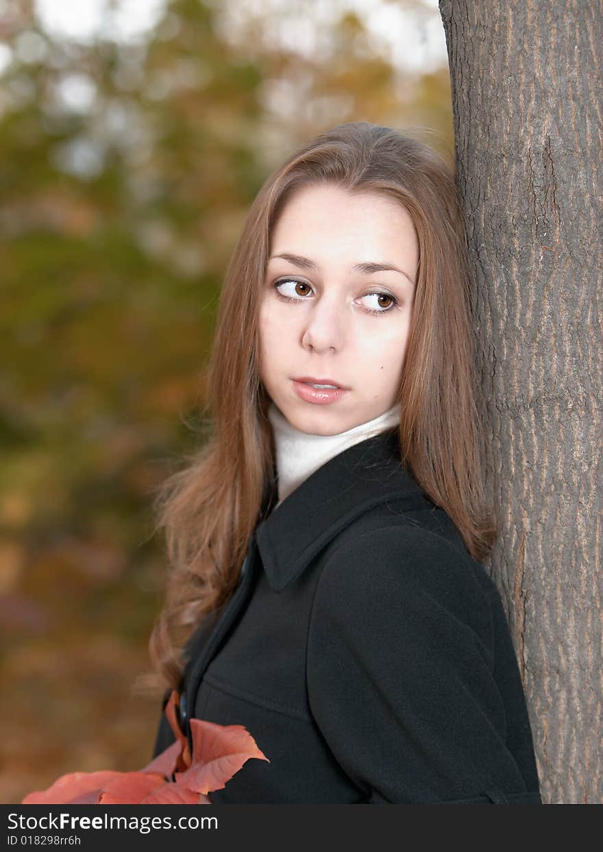 Portrait of beauty young girl near tree in autumn forest. Portrait of beauty young girl near tree in autumn forest.