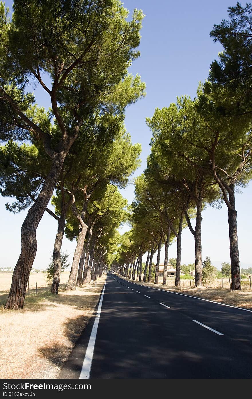 The via appia in italy