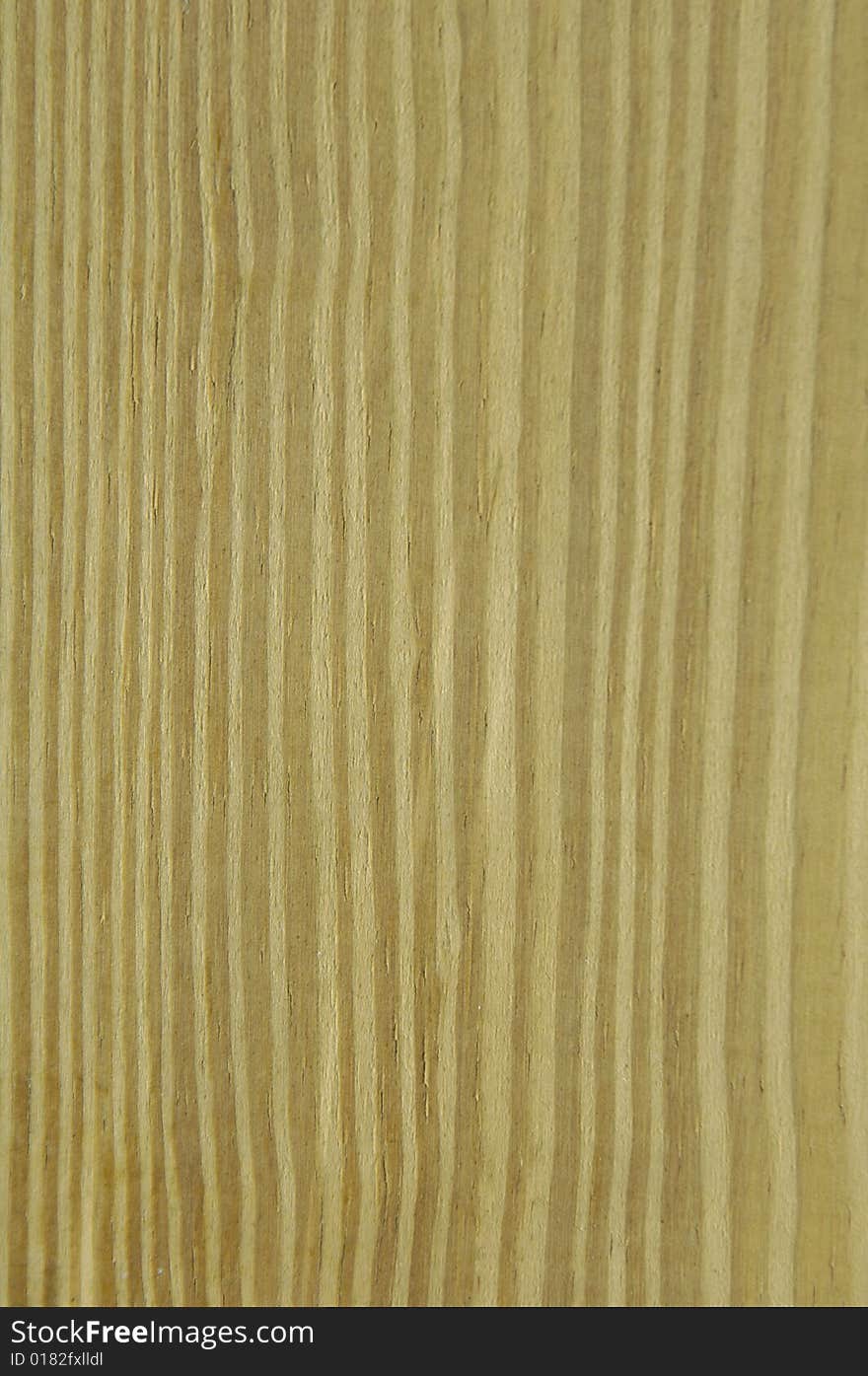 Wood texture on white background