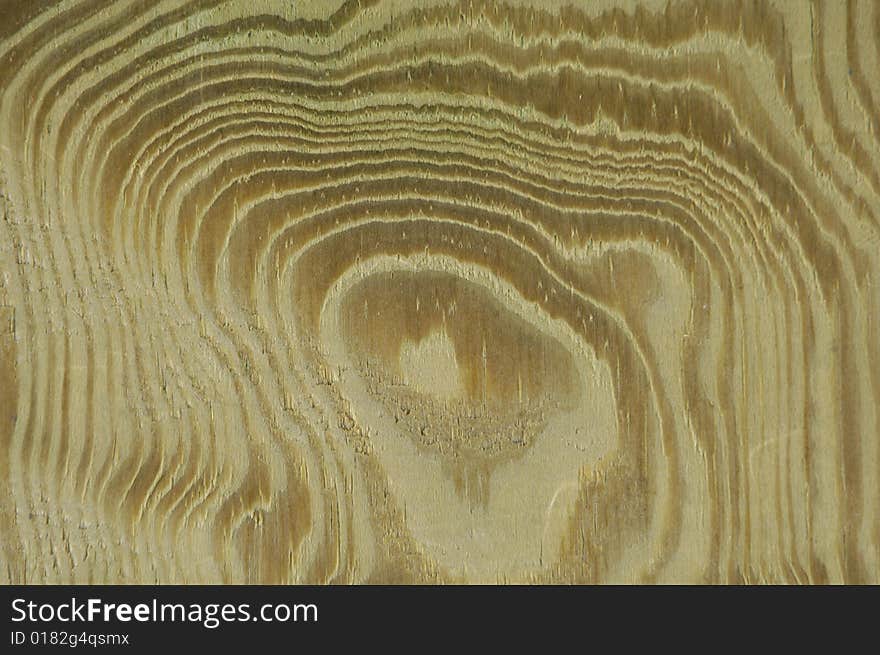 Wood texture on white background