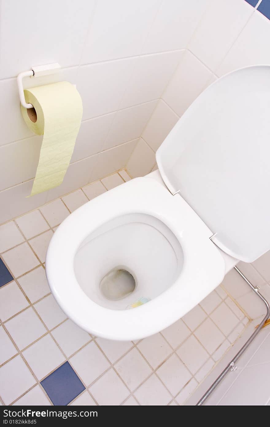 A view of a toilet and paper