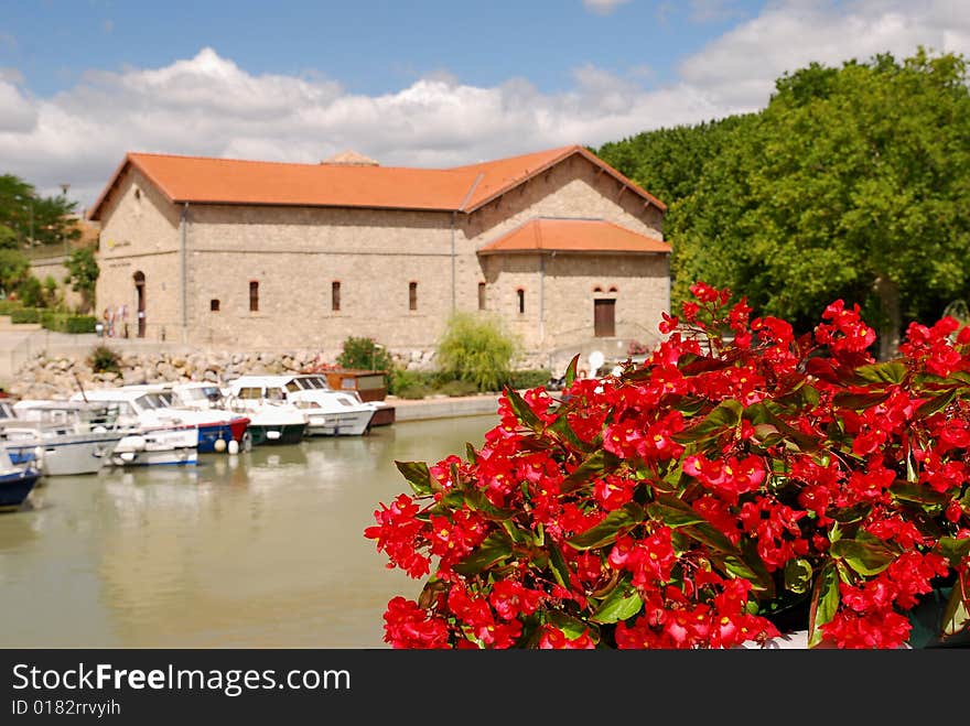 Nice spring flowers with church