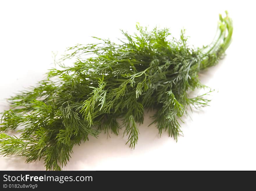 Fresh Dill