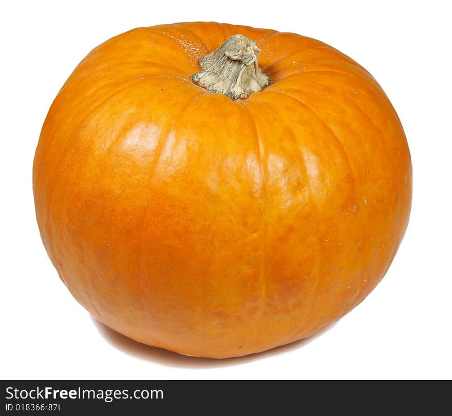 A fall pumpkin isolated on a white background