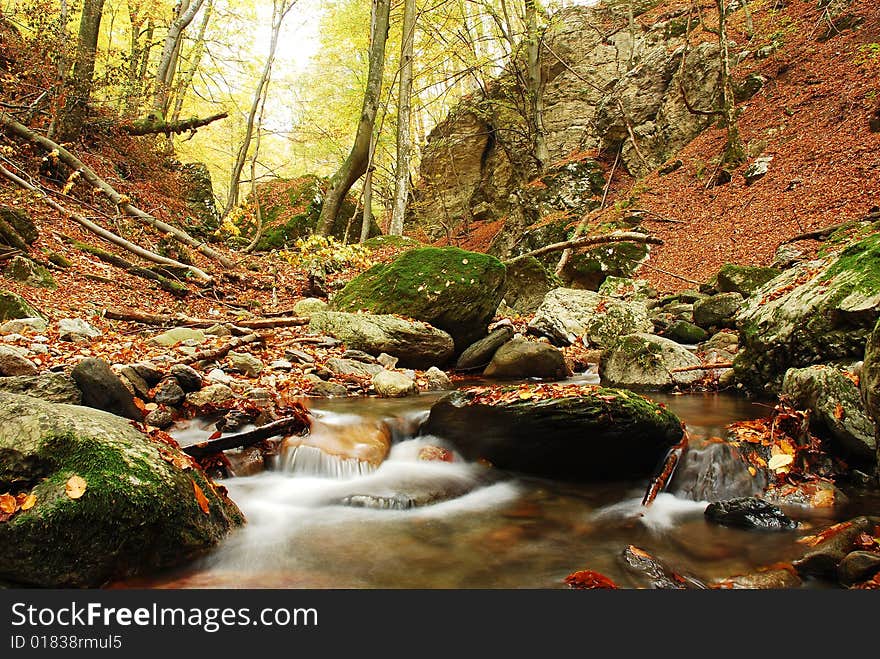 Autumn scene on Cerna Valley, southern Romania