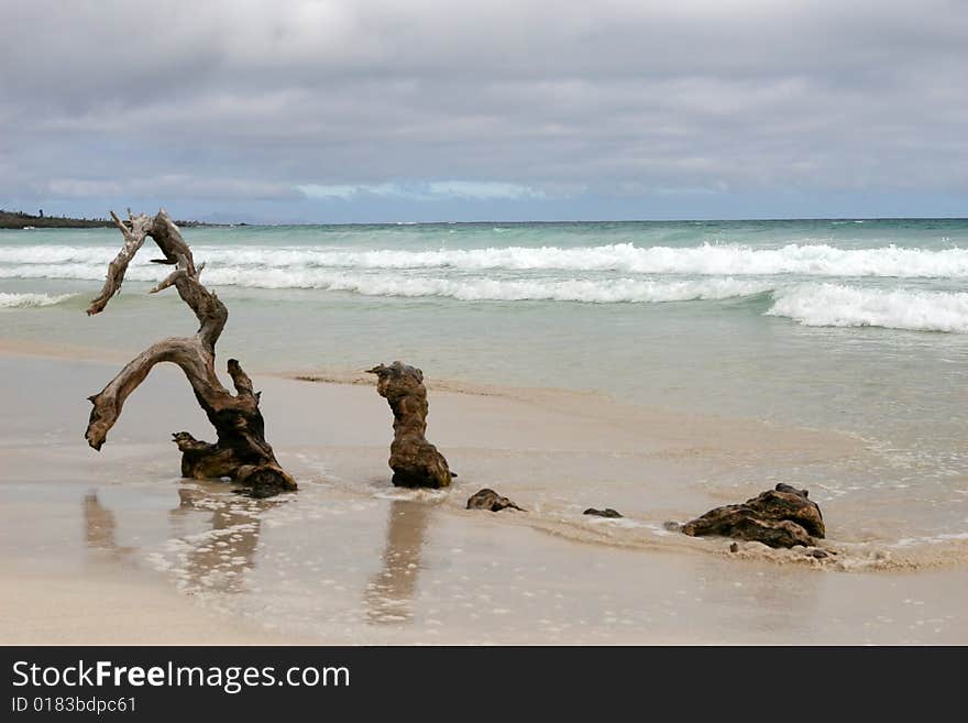 Beautiful Beach