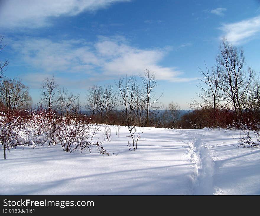 Winter Landscape