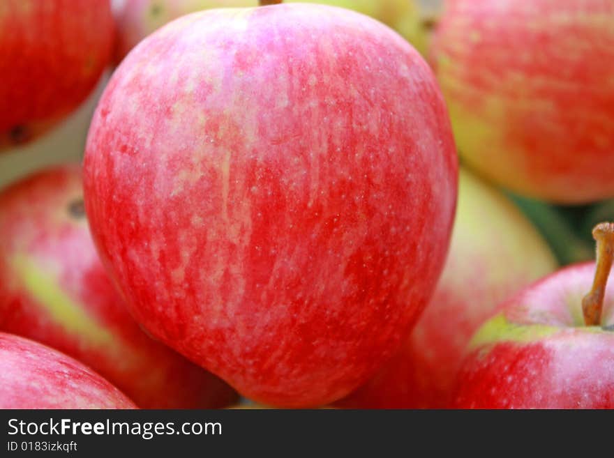 Close up of the fresh juicy apple