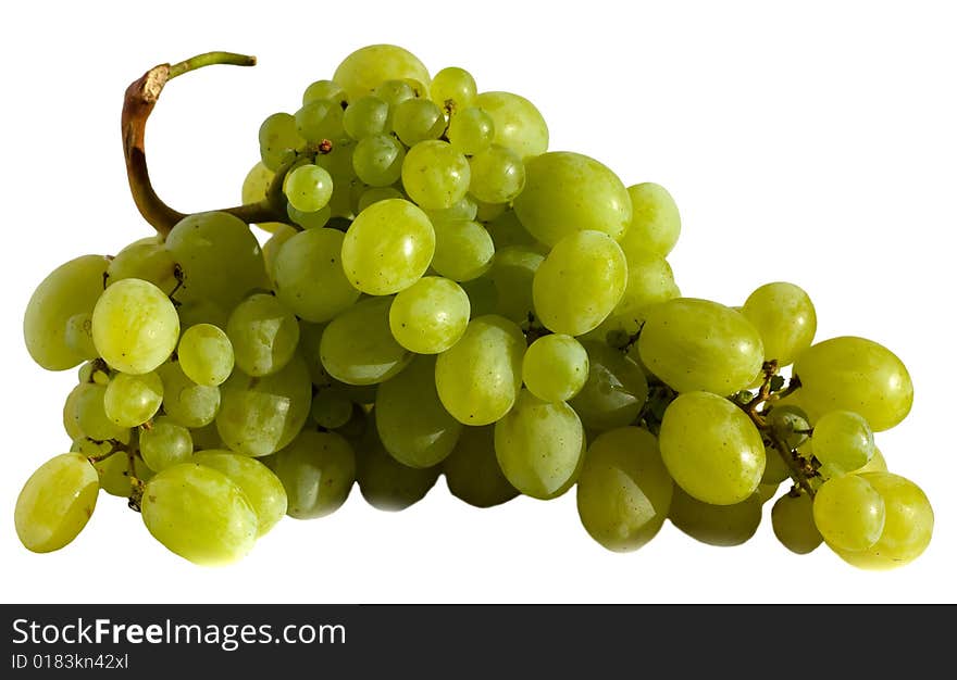 Grapes green fruit on branch , isolated