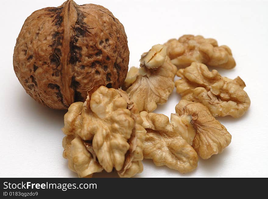 Walnut Shell And Fruit