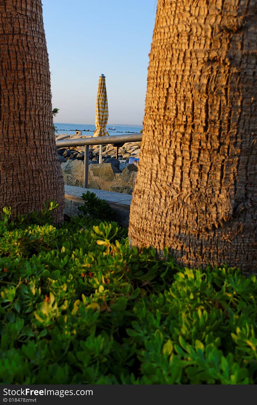 Lonely umbrellas framed in between palm trees.

Location: Limassol, Cyprus

(DSC_4303_raw)