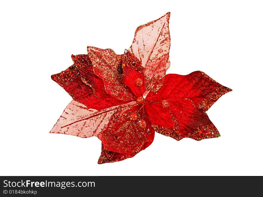 Red leaf isolated