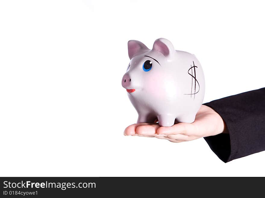 Hand Holding piggy bank on the white background