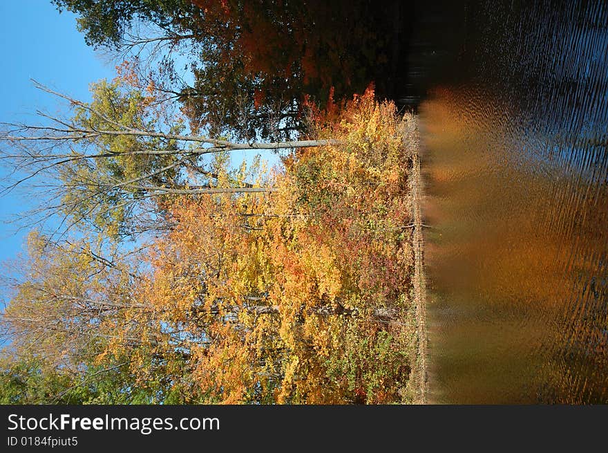 A shot of a fall day here in indiana. A shot of a fall day here in indiana