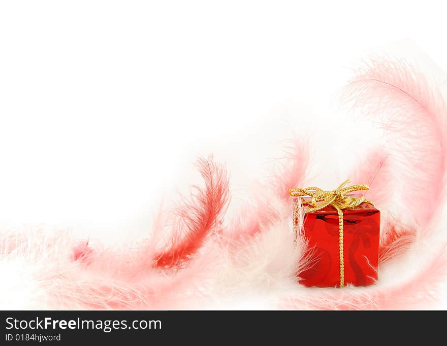 Gift in feathers