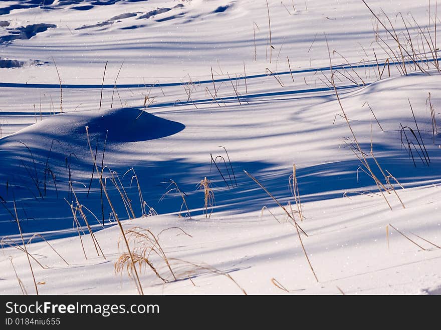 Snowy area light shade in winter