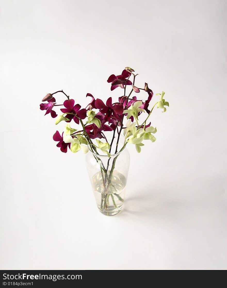 Bunch of orchids in a glass vase