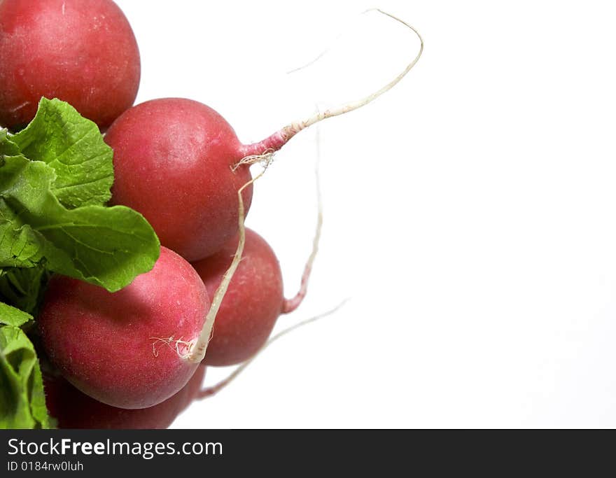 Bunch Of Radish