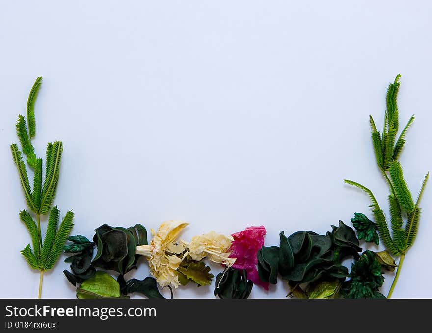 A set of herbs as frame on board. A set of herbs as frame on board