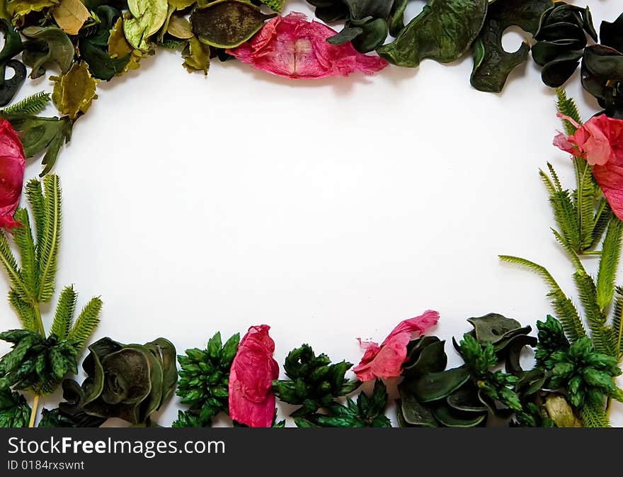 A set of herbs as frame on board. A set of herbs as frame on board