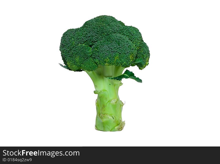 Green fresh broccoli isolated on white background