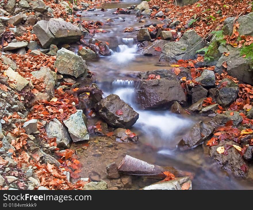 Little stream in autumn forest. Little stream in autumn forest