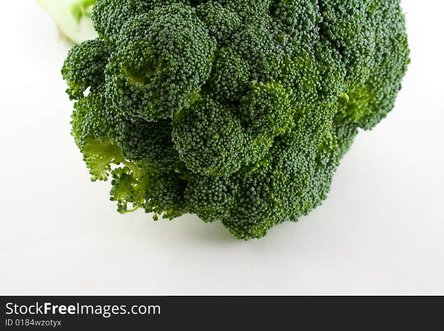 Head of Broccoli