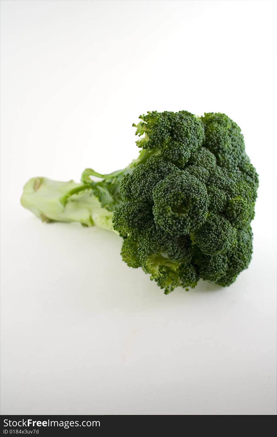 Head Of Broccoli