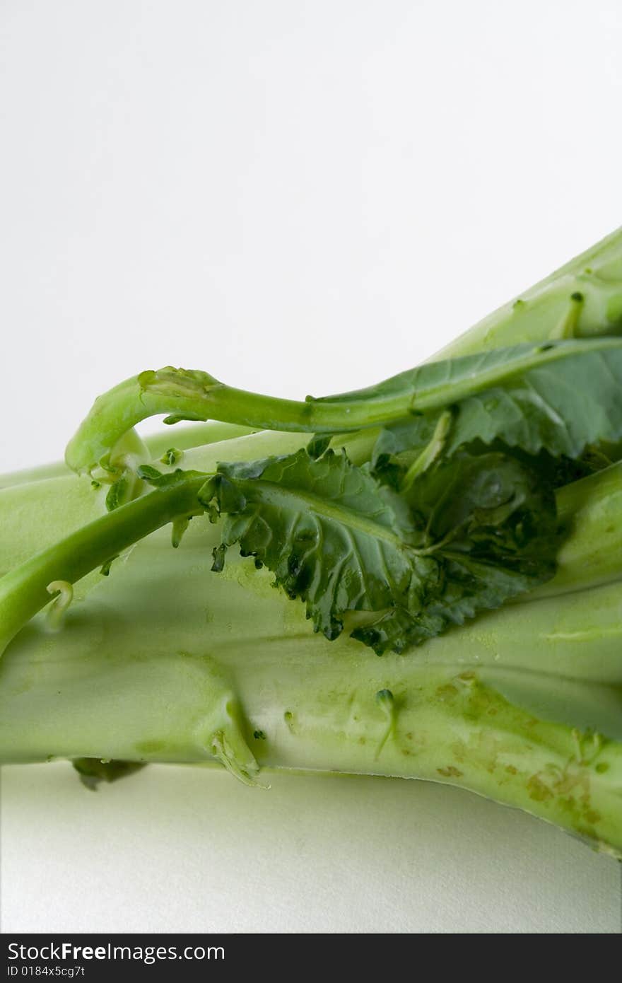 Broccoli Stalk