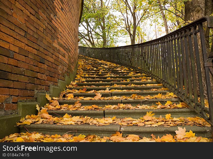 Stairs covered by leaves in autumn