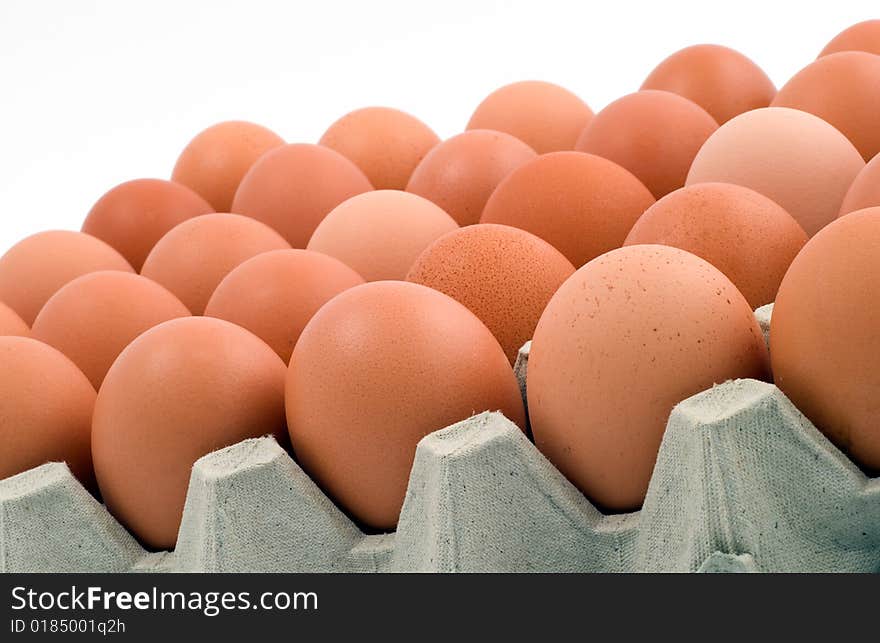 Closeup of chicken eggs