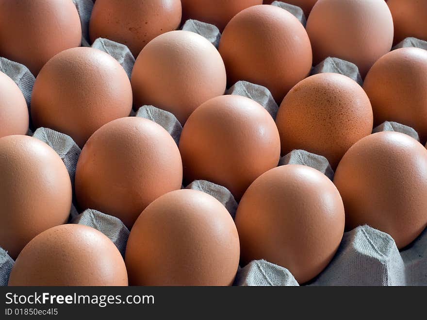 Closeup of chicken eggs