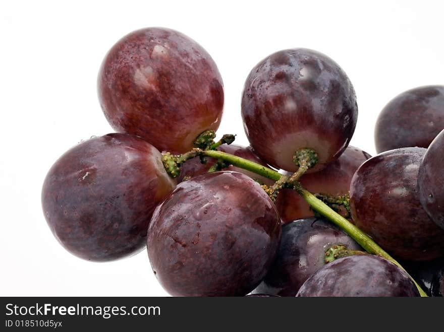 Blue grapes on white background. Blue grapes on white background