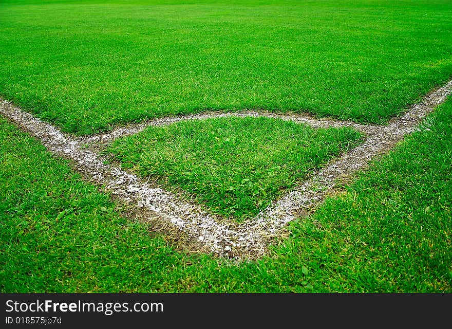 Beautiful green grass in the soccer stadium. Beautiful green grass in the soccer stadium