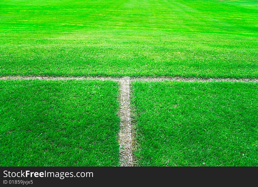 Green soccer field