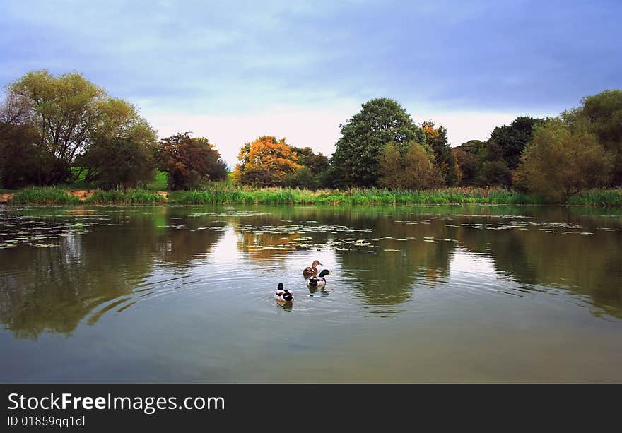 Fantastic autumnal reflection on the lake