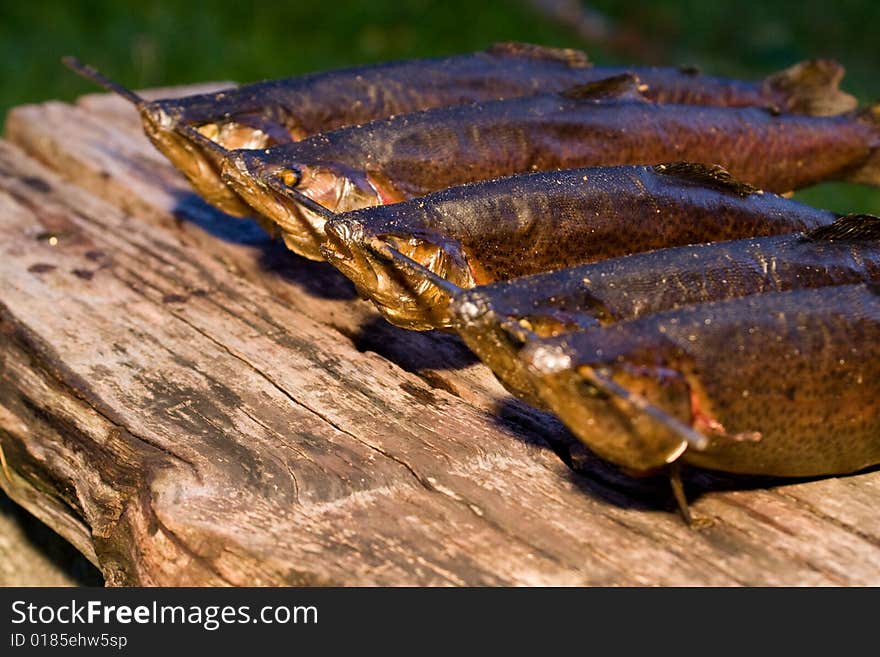 Rainbow trout smoked in smoke. Rainbow trout smoked in smoke