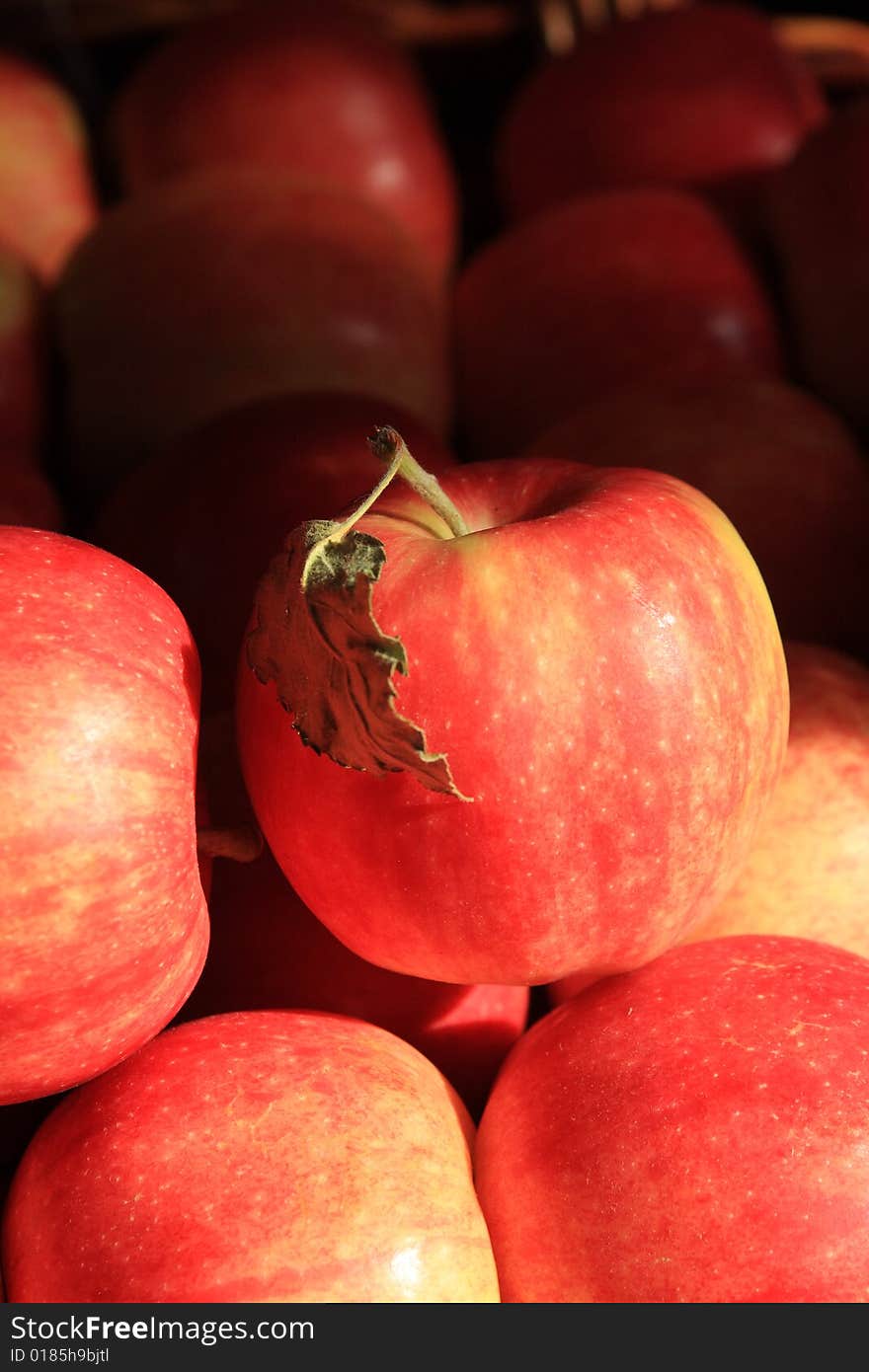 Juicy selection of red apples