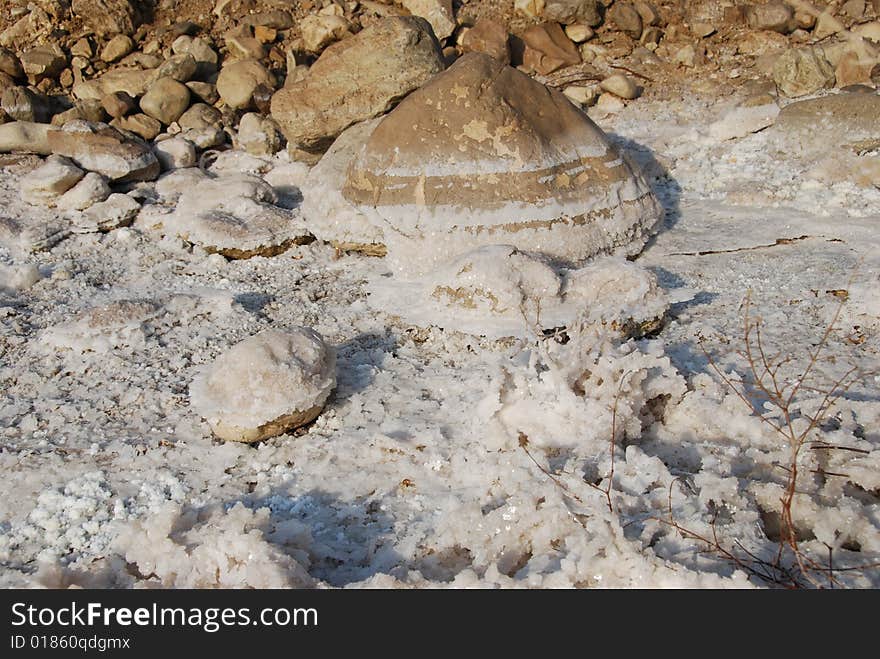 Hydrochloric outgrowths on coast of the Dead Sea. Hydrochloric outgrowths on coast of the Dead Sea