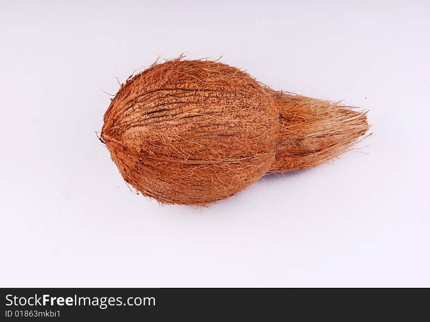 A single coconut on the white background