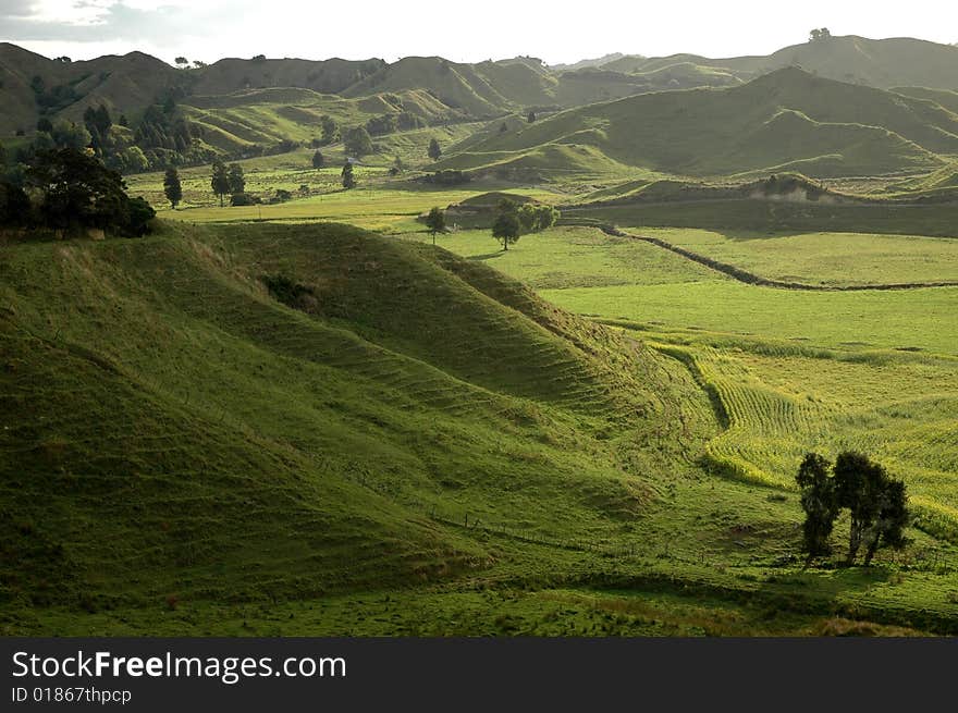 The Lost World, New Zealand