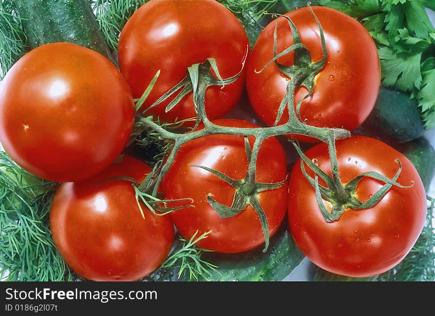 Tomato branch