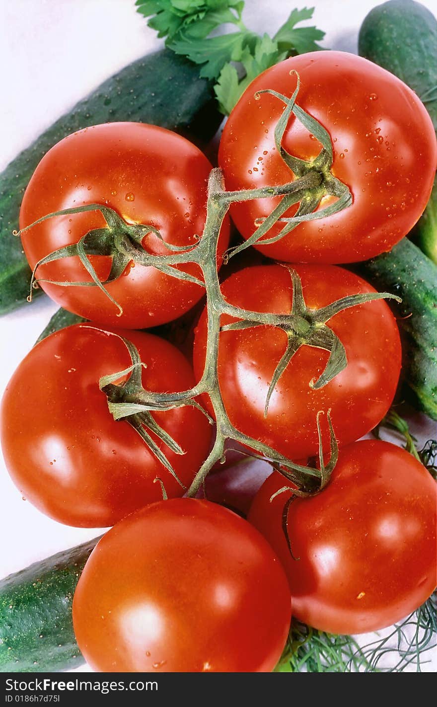 Tomato branch vertical