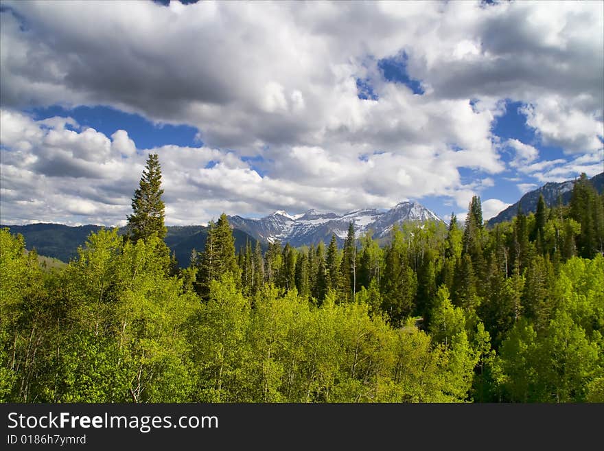 Mountains Spring