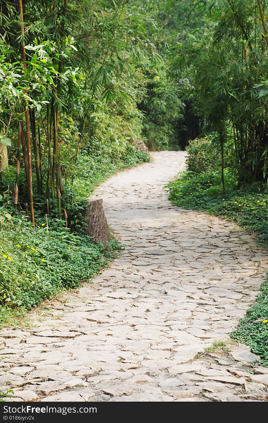 The Pavement Garden Pathway