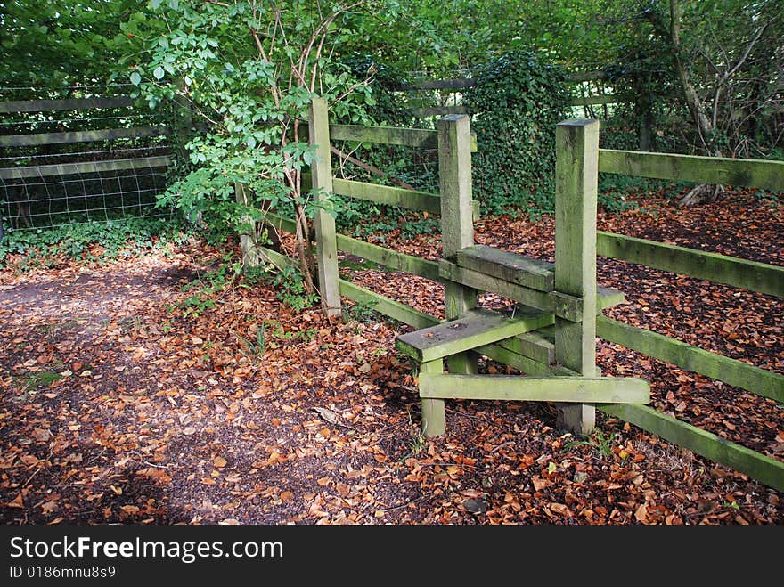 Walking style the woods near Euxton, Chorley. Walking style the woods near Euxton, Chorley