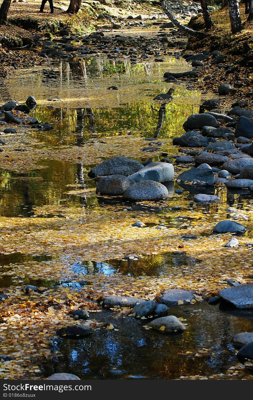 Fallen birch leaves on the river, taken from Hemu village, Northern Xinjiang, China